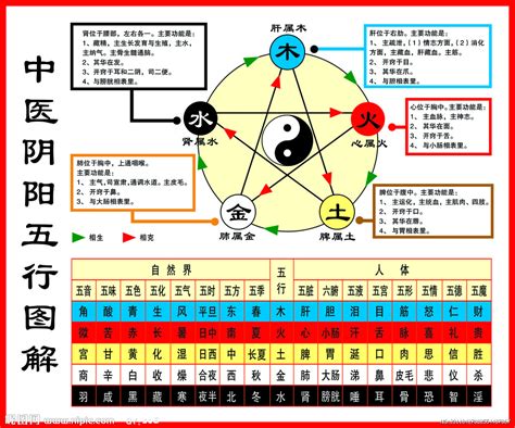 陰陽五行圖